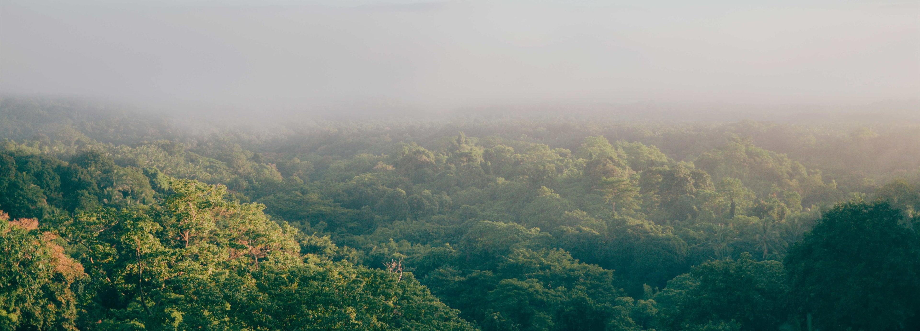 slider image slider_item_Ea43kY